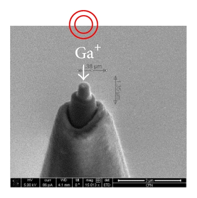Details are in the caption following the image