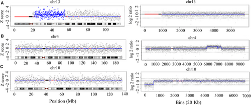 Details are in the caption following the image Details are in the caption following the image