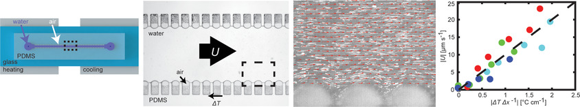 Temperature Gradients Drive Bulk Flow Within Microchannel Lined by Fluid–Fluid Interfaces