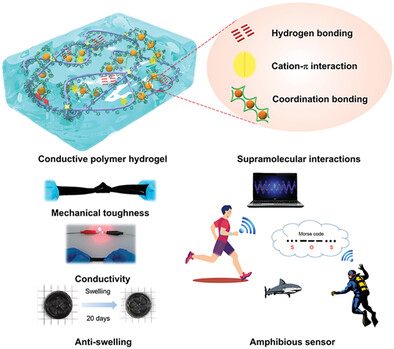 Strong, Tough, and Anti-Swelling Supramolecular Conductive Hydrogels for Amphibious Motion Sensors