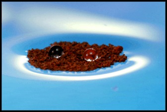 Sheets of Large Superhydrophobic Metal Particles Self Assembled on Water by the Cheerios Effect