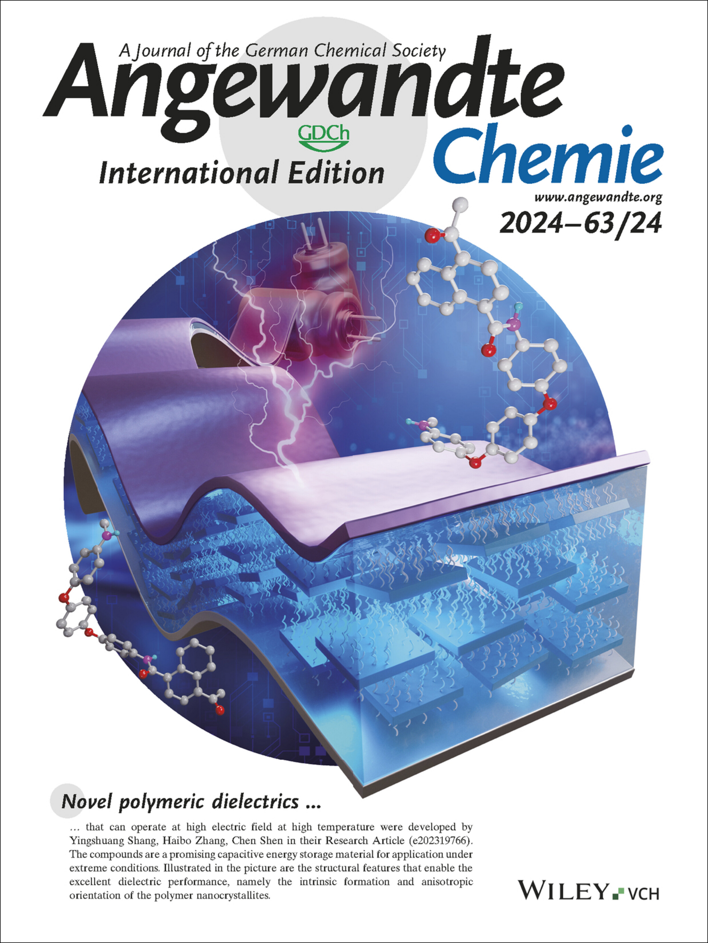 Back Cover: Anisotropic Semicrystalline Homopolymer Dielectrics for High-Temperature Capacitive Energy Storage (Angew. Chem. Int. Ed. 24/2024) Volume 63 Issue 24, 2024
