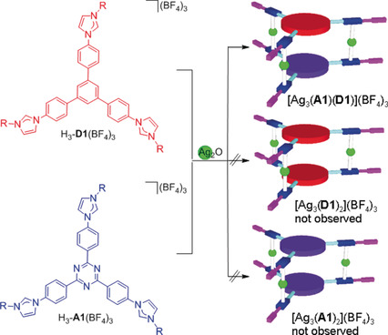 Homo- and Heteroligand Poly-NHC Metal Assemblies: Synthesis by Narcissistic and Social Self-Sorting