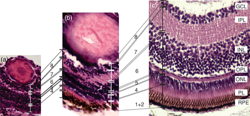 Details are in the caption following the image Details are in the caption following the image