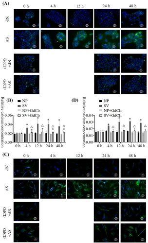 Details are in the caption following the image Details are in the caption following the image