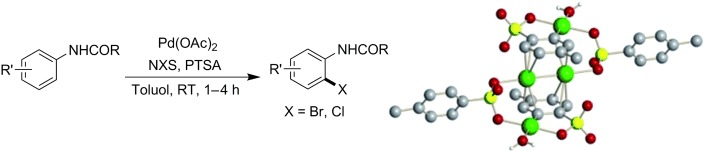Mild C<span class='icomoon'></span>H Halogenation of Anilides and the Isolation of an Unusual Palladium(I)–Palladium(II) Species