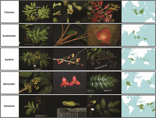 Details are in the caption following the image Details are in the caption following the image