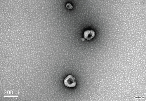 Details are in the caption following the image