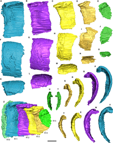 Details are in the caption following the image