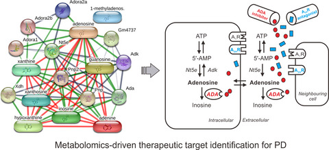 Metabolomics-driven identification of adenosine deaminase as therapeutic target in a mouse model of Parkinson's disease
