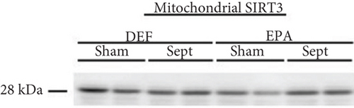 Details are in the caption following the image