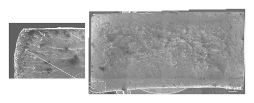 Details are in the caption following the image Details are in the caption following the image
