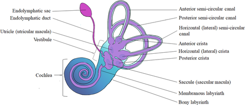 Details are in the caption following the image
