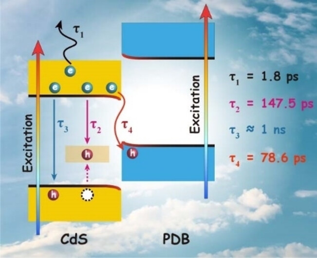 Verifying the Charge-Transfer Mechanism in S-Scheme Heterojunctions Using Femtosecond Transient Absorption Spectroscopy