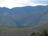 Deforested habitats lack seeds of late-successional and large-seeded plant species in tropical montane forests
