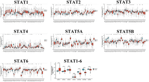 Signal transducer and activator of transcription family is a prognostic marker associated with immune infiltration in endometrial cancer