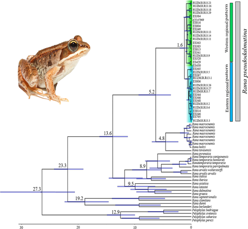 Details are in the caption following the image Details are in the caption following the image