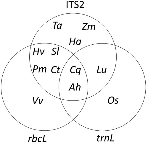 Details are in the caption following the image