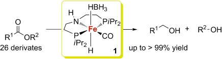 Hydrogenation of Esters to Alcohols with a Well-Defined Iron Complex