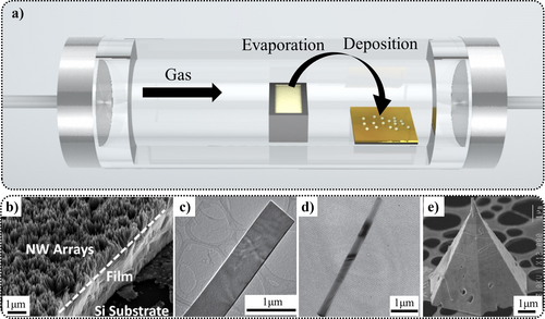 Details are in the caption following the image