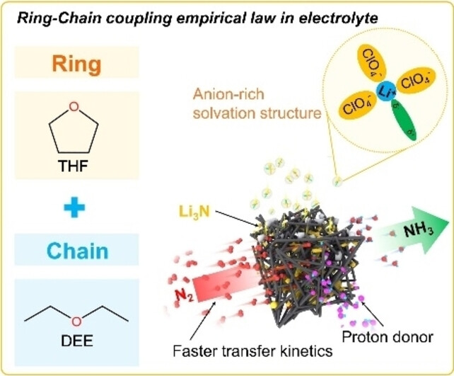 Extending Ring-Chain Coupling Empirical Law to Lithium-Mediated Electrochemical Ammonia Synthesis