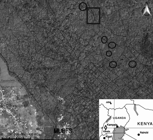 Details are in the caption following the image Details are in the caption following the image