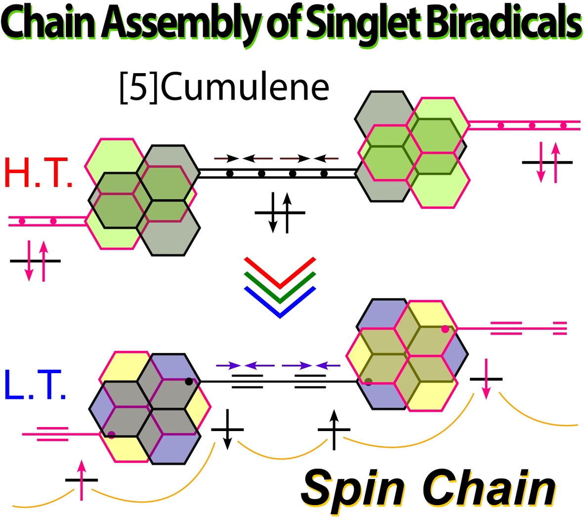Spin–Spin Interactions in One-Dimensional Assemblies of a Cumulene-Based Singlet Biradical