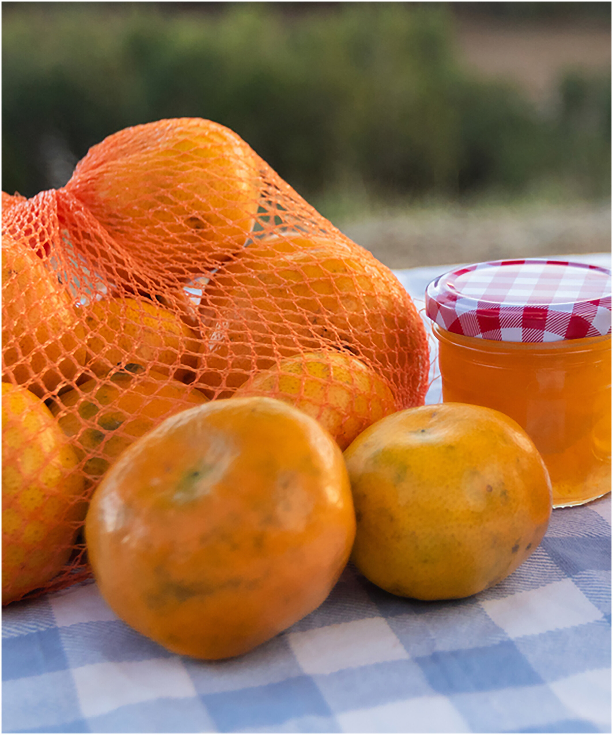 Seasonal excess: Moving with place and produce through creative fieldwork Issue ,