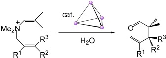 Supramolecular Catalysis of a Unimolecular Transformation: Aza-Cope Rearrangement within a Self-Assembled Host