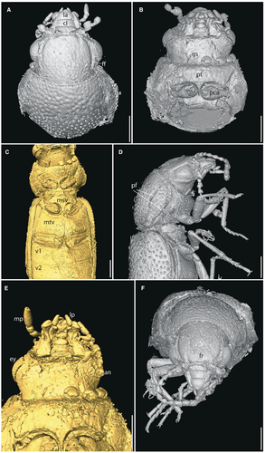 Details are in the caption following the image Details are in the caption following the image