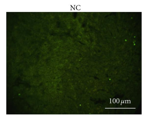Details are in the caption following the image