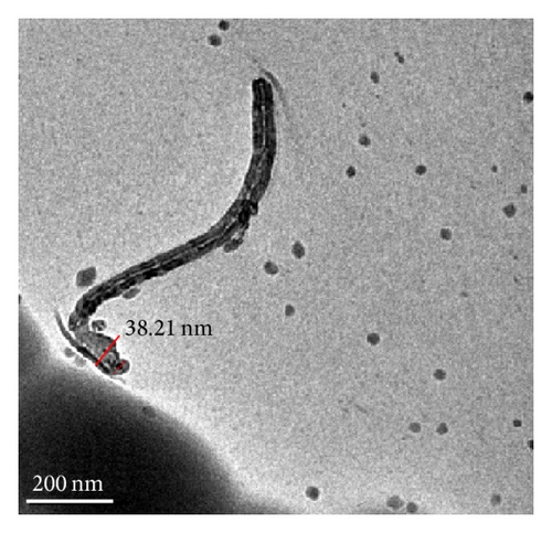 Details are in the caption following the image