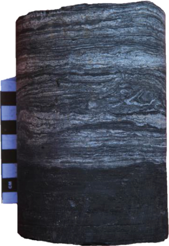 Details are in the caption following the image