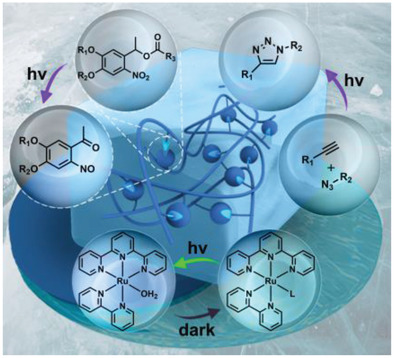 Controlling Properties and Functions of Polymer Gels Using Photochemical Reactions