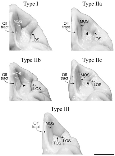 Details are in the caption following the image