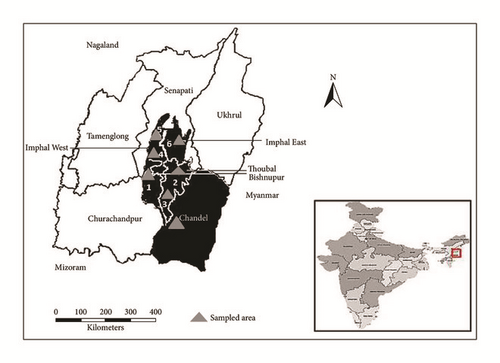 Details are in the caption following the image