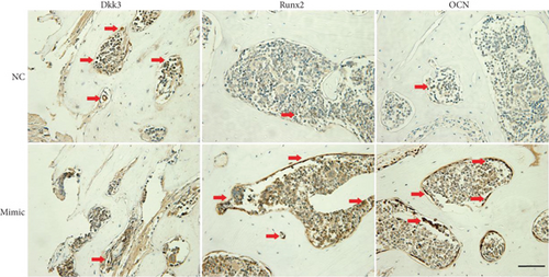 Details are in the caption following the image Details are in the caption following the image