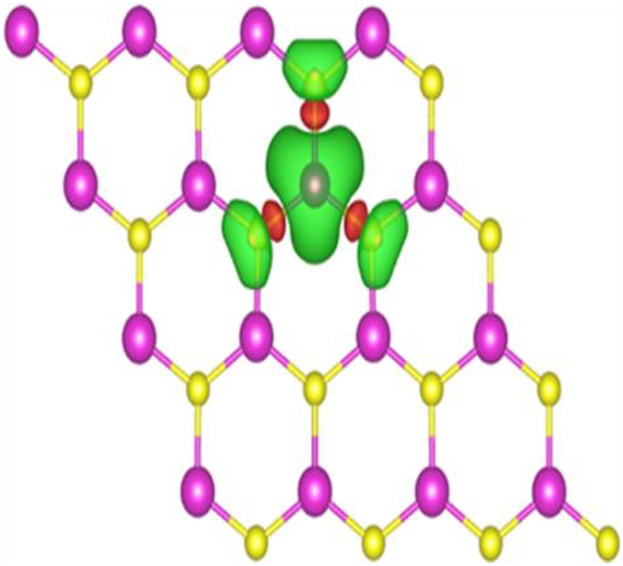 First-Principles Study on the Electronic, Magnetic, and Optical Properties in TM Atom Doped Cadmium Sulfide Nanosheets