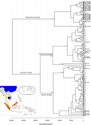 Details are in the caption following the image Details are in the caption following the image