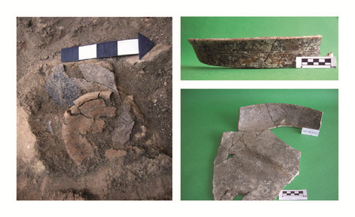 Details are in the caption following the image Details are in the caption following the image