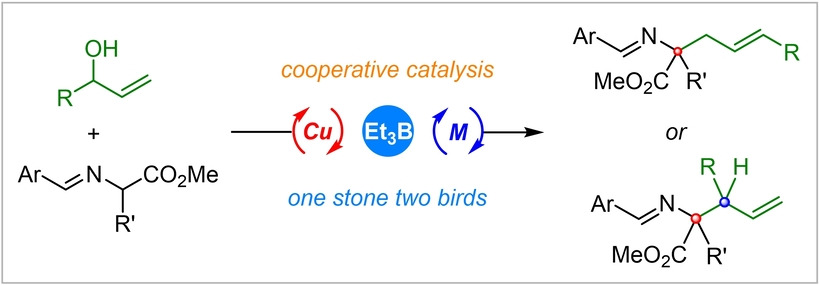 Cooperative Catalyst-Enabled Regio- and Stereodivergent Synthesis of α-Quaternary α-Amino Acids via Asymmetric Allylic Alkylation of Aldimine Esters with Racemic Allylic Alcohols