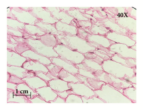 Details are in the caption following the image