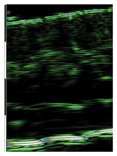 Details are in the caption following the image Details are in the caption following the image