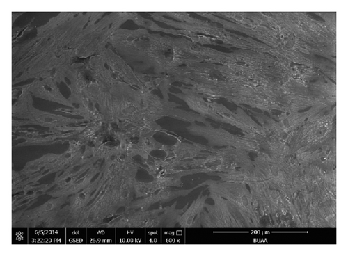 Details are in the caption following the image