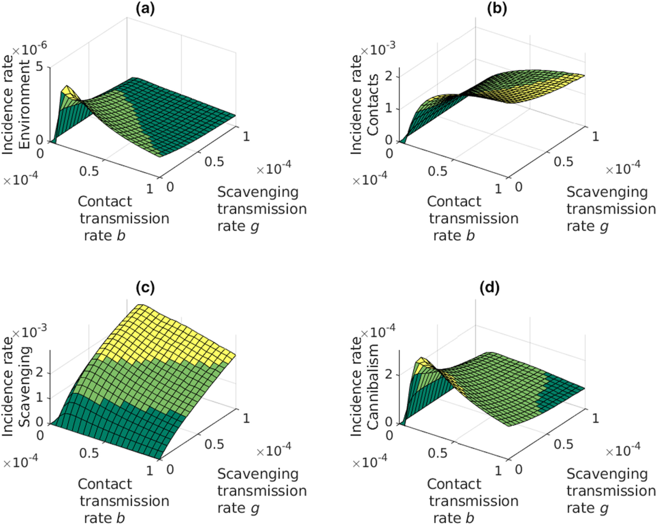 Crayfish population size under different routes of pathogen transmission