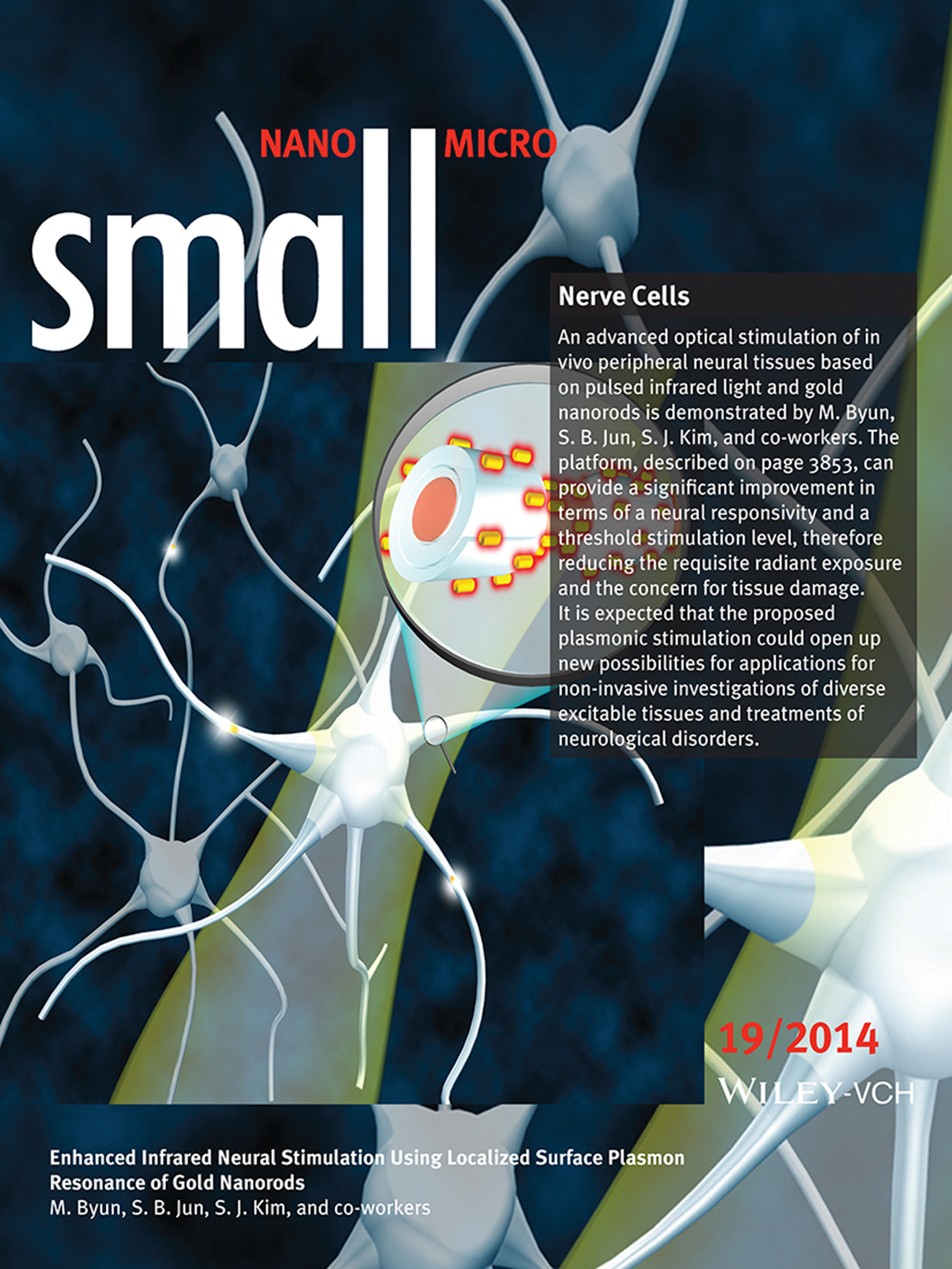 Nerve Cells: Enhanced Infrared Neural Stimulation using Localized Surface Plasmon Resonance of Gold Nanorods (Small 19/2014)