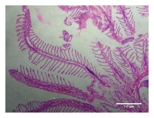 Details are in the caption following the image