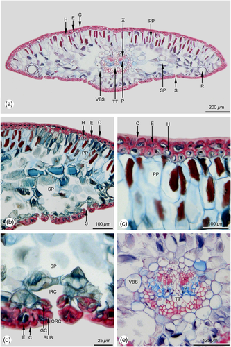 Details are in the caption following the image Details are in the caption following the image