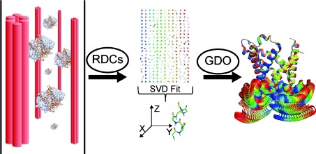 Mapping Conformational Heterogeneity of Mitochondrial Nucleotide Transporter in Uninhibited States