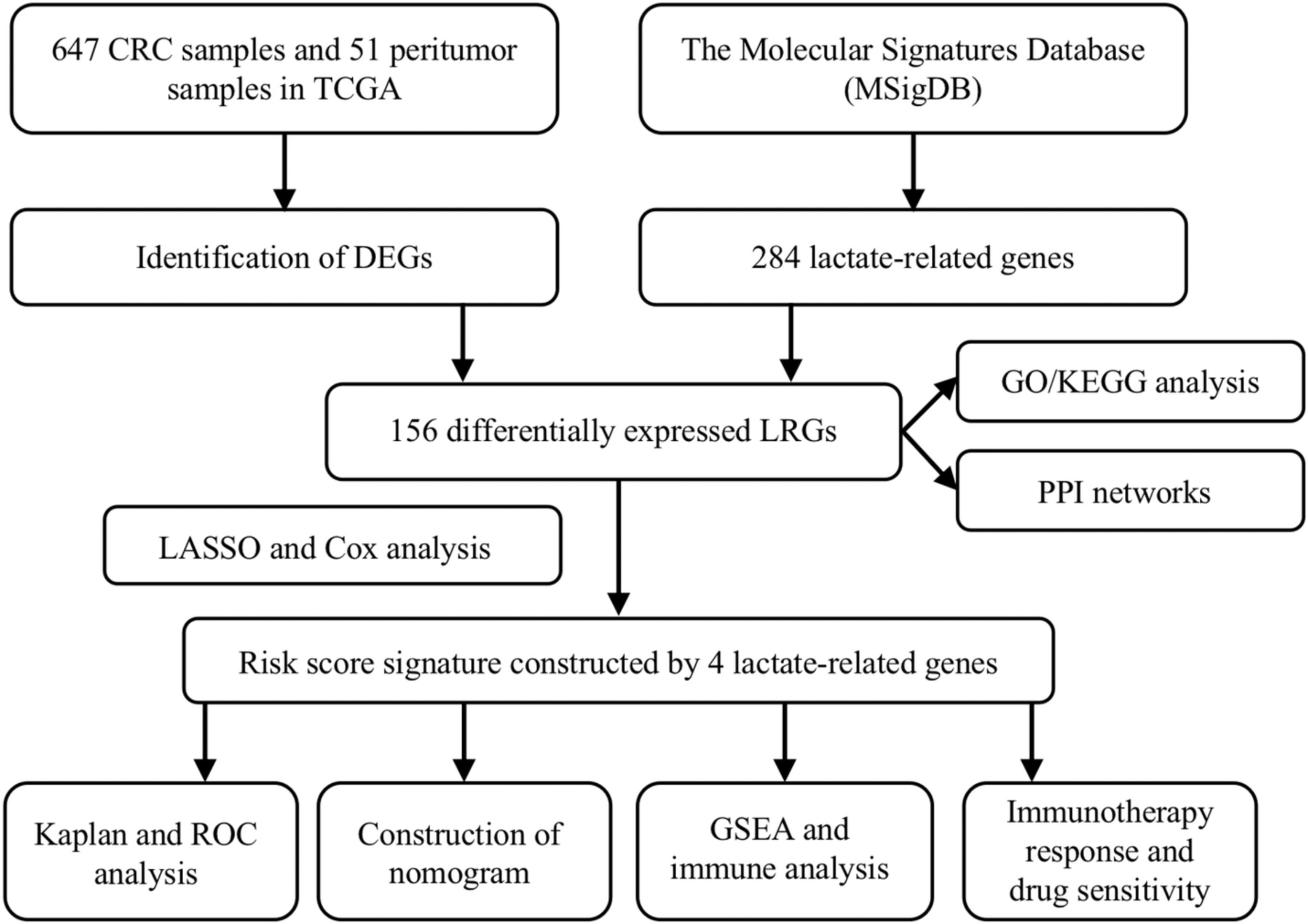 Development of lactate-related gene signature and prediction of overall survival and chemosensitivity in patients with colorectal cancer